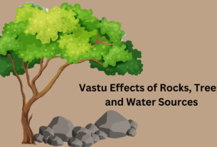 Vastu Effects
